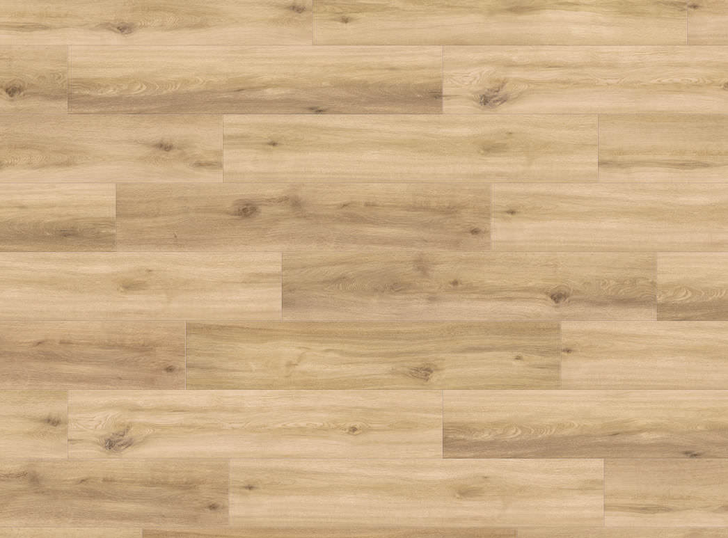 DISANO life aqua ROVERE provence puro - HARO