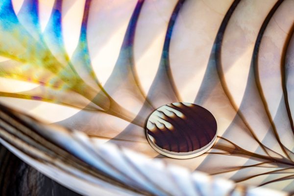 Lavabo in vetro Murano Casanova Ossido Terra - Cipì