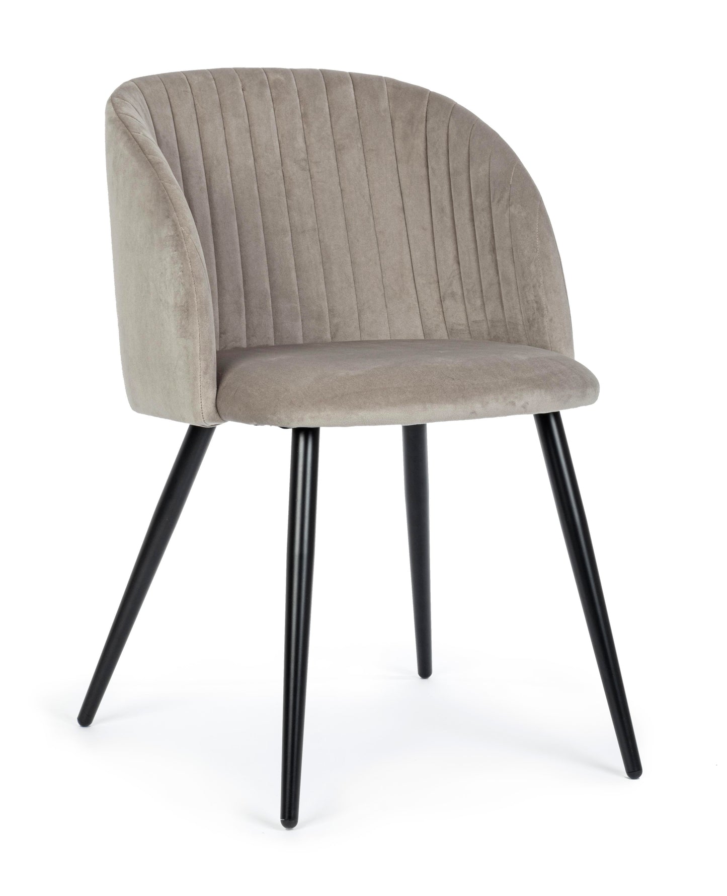 Sedia QUEEN - Bizzotto