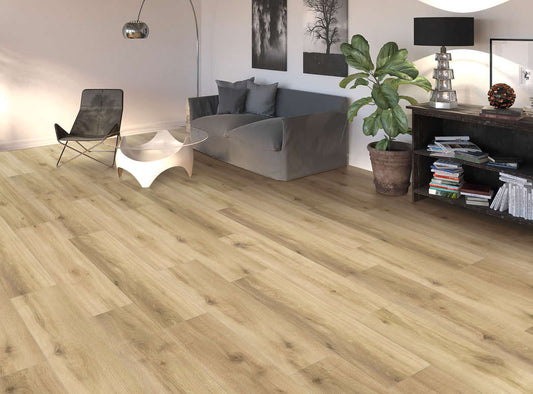 DISANO life aqua ROVERE provence puro - HARO