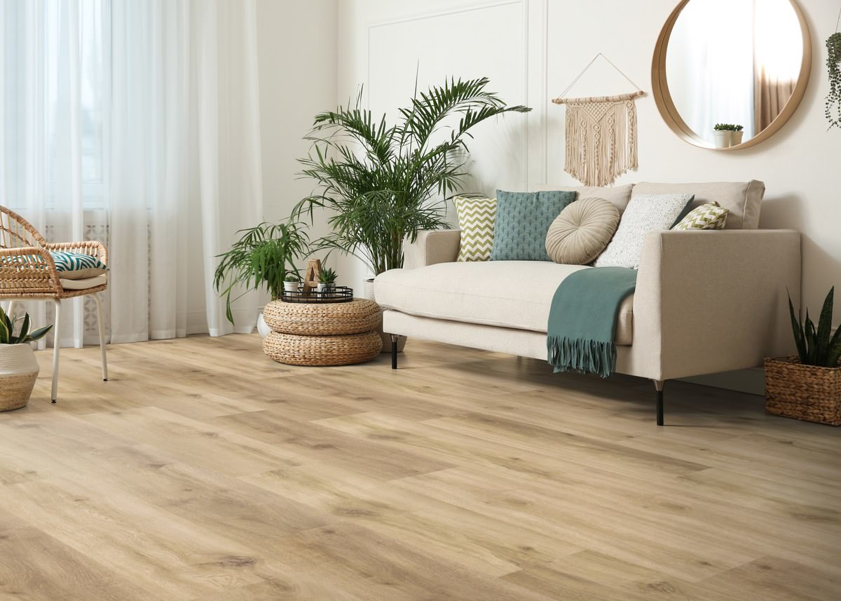 DISANO life aqua ROVERE provence puro - HARO