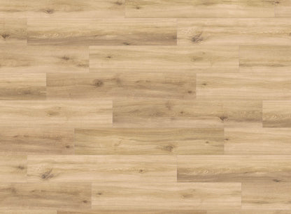 DISANO life aqua ROVERE provence puro - HARO