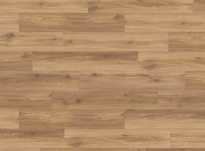 DISANO life aqua ROVERE provence natur - HARO