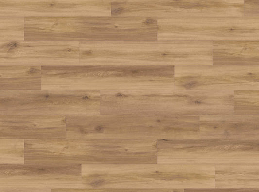 DISANO life aqua ROVERE provence natur - HARO